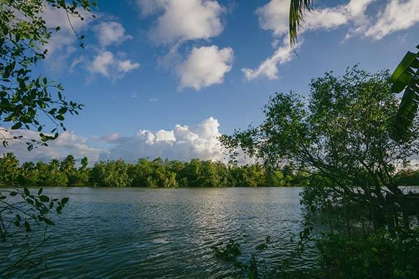 欧冠焦点战 ｜ 巴黎对阵勇士，教练表情说明一切，詹姆斯激起讨论，赛后声音逐渐增多，不少人顺手点进了开云体育相关页面